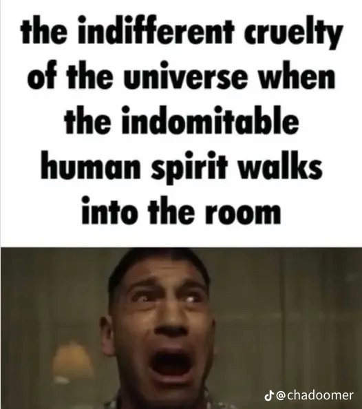 bocata lomo tweet media