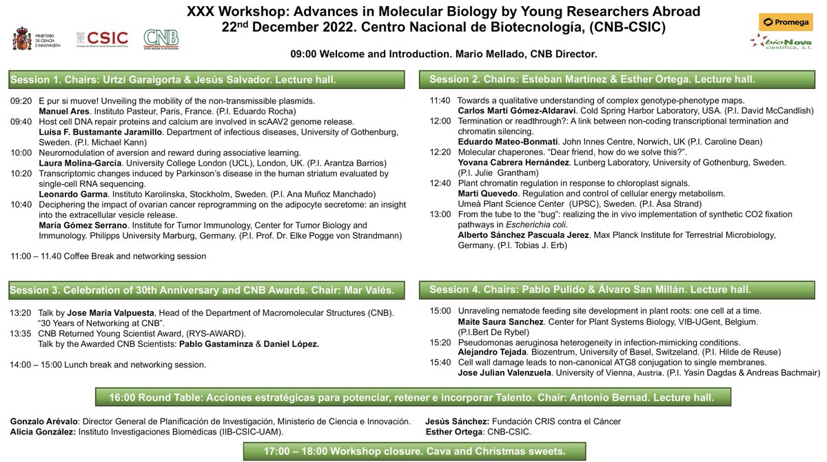 CNB_CSIC's tweet photo. Thursday 22nd: Advances in Molecular Biology by Young Researchers Abroad, join us! https://t.co/F1xmdQisph