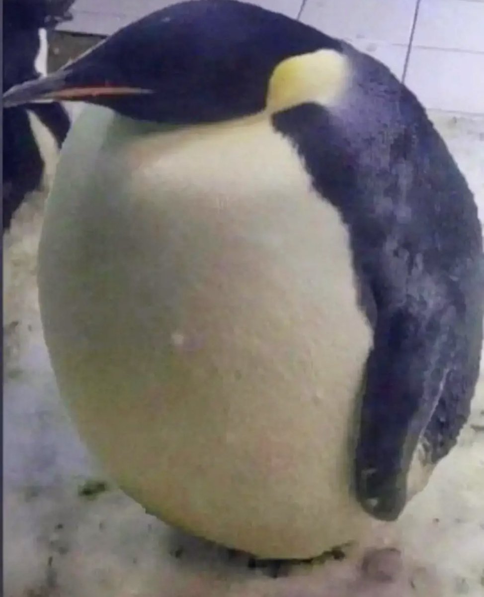 SLAND¥🌪️ tweet media