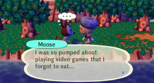 animal crossing bot 🌱 (@anicrossing2) on Twitter photo 