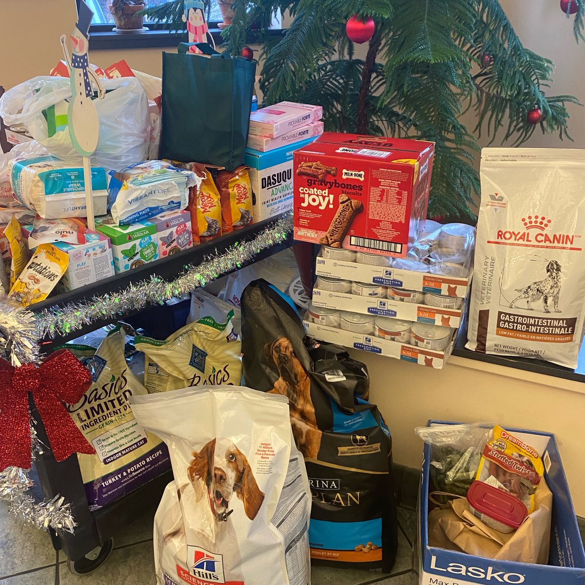 A2AnimalHosp's tweet photo. We've concluded our Pet Food Pantry Drive, and all donated items are on their way to the Humane Society of Huron Valley. A HUGE "Thank You" to everyone who donated!

Also, raffle winners have been drawn for the prize baskets, and will be contacted soon! https://t.co/HSicySb4uK