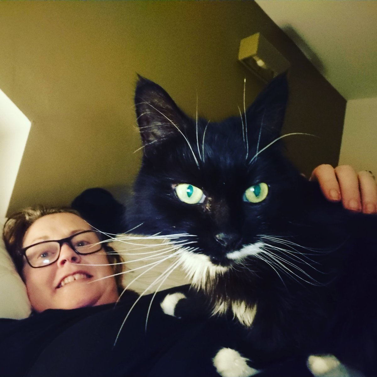 💥CatLadyCath💥 tweet media