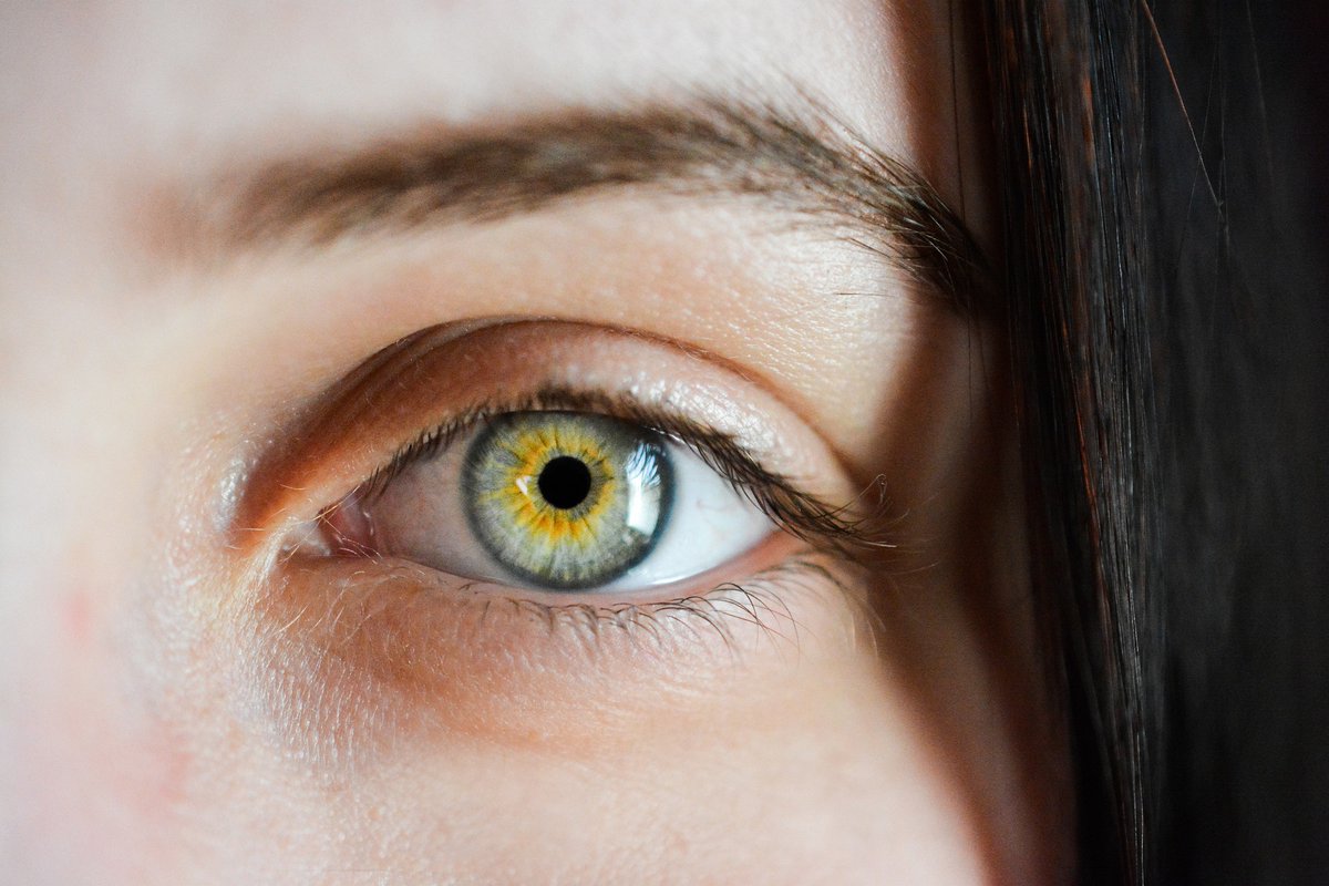 NYSERNet's tweet photo. Two drugs developed by researchers at @EinsteinMed, a @NYSERNet member, preserved vision in mice suffering from retinitis pigmentosa (RP), an inherited eye disease that leads to blindness. Learn more: https://t.co/FmLto93arh #NYSERNet #einsteinmed https://t.co/uF2tZ32bby