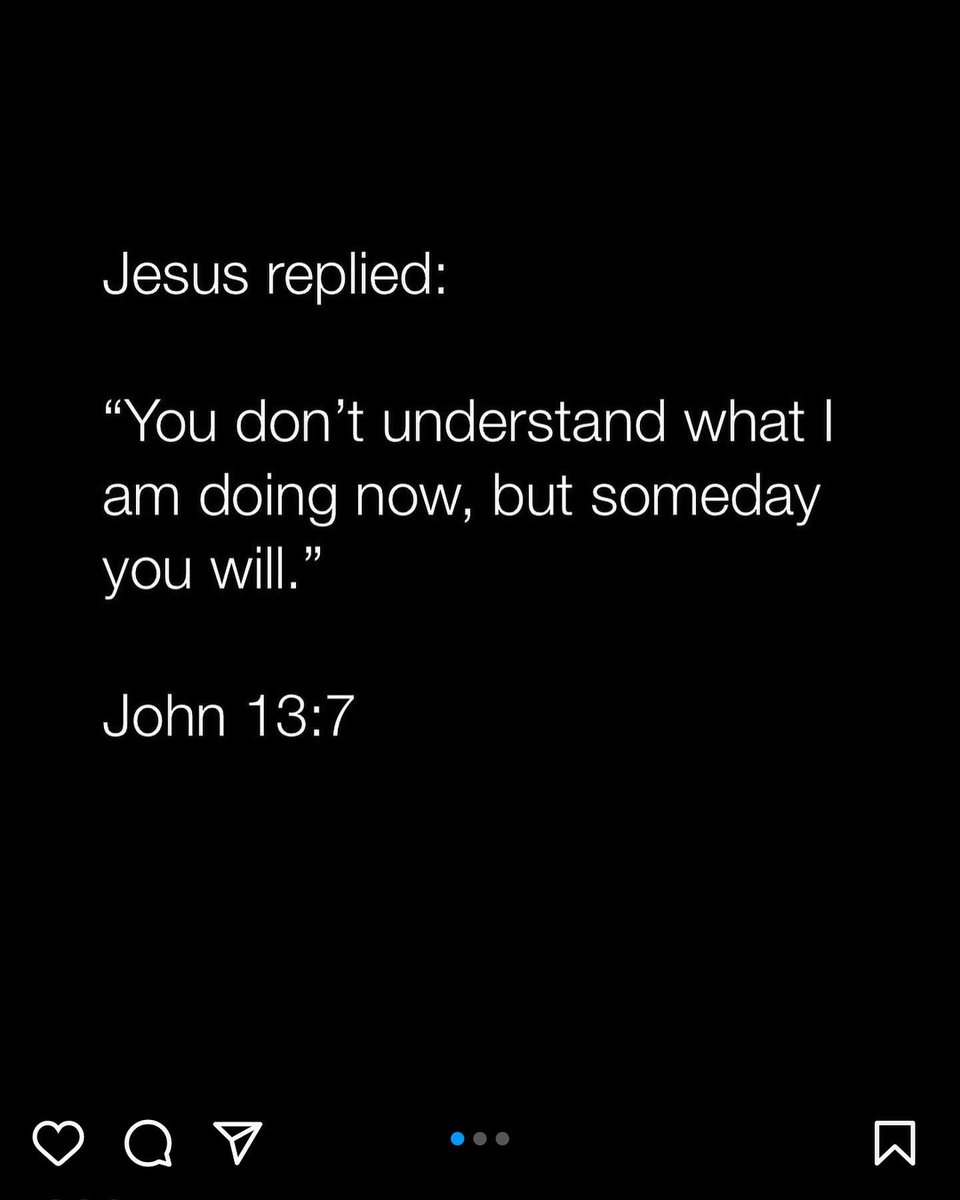 McKenzie Adams tweet media