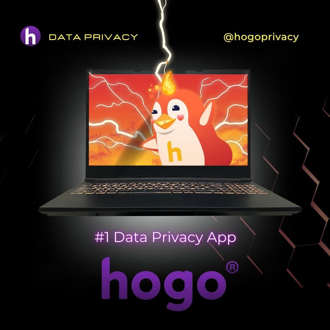 HogoPrivacy's tweet photo. Want to remove your private information from unknown websites? 

Check us out: https://t.co/vRf3DDu5Hb
#DataPrivacy #dataprotection #cybersafety #OnlineSafety https://t.co/nnfpkX3vuL