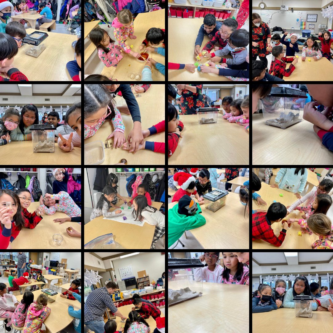 stbeeconnects's tweet photo. Kindergarten and Grade2 had a blast in science yesterday with HTHT, with the Kindergarten class learning about "Newton in a Nutshell" and the Grade 2's learning a lot about bugs! #hightechhightouch #science #interactivescience #stbeestudents @mvanderpauw https://t.co/bDEqG5Jxug