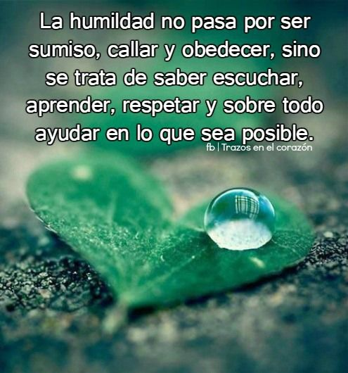 AsunCarretero's tweet photo. #LaHumildad https://t.co/BK4kuAl4sk
