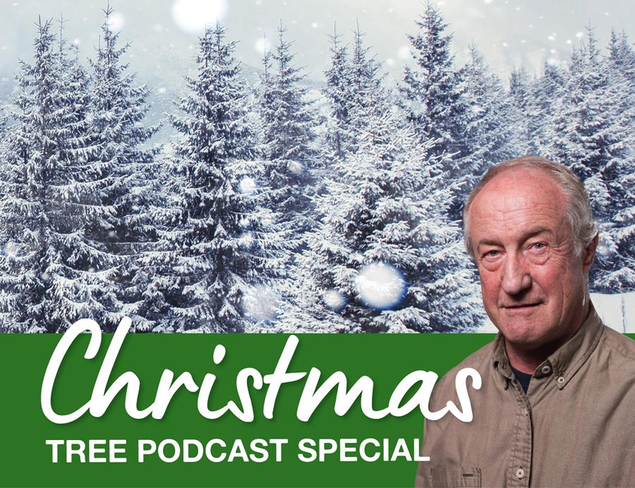 Have you ever wondered how a perfect Christmas tree came to be? 🌲
 
Well, wonder no more! we’re spilling the ‘tree’ on how plant breeders, yet again, help towards creating our beautiful Christmas trees.