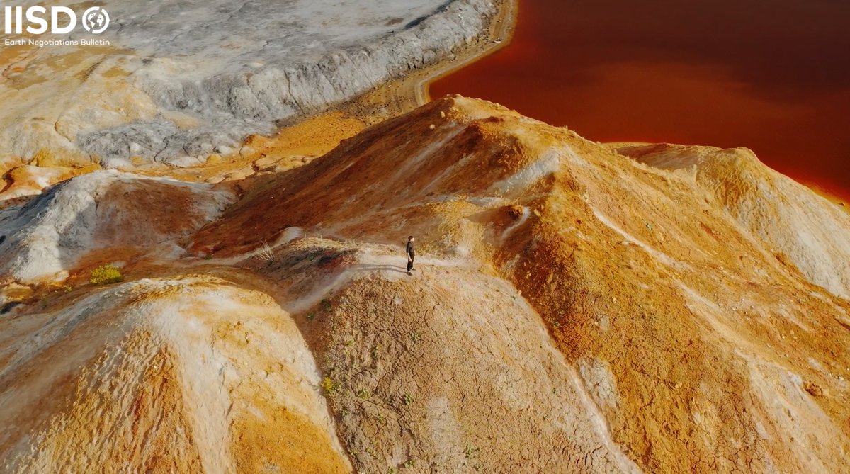 Experts at <a href="/theGEF/">Global Environment Facility (GEF)</a> #COP15 event highlighted the power of private sector in global conservation efforts 

In a video, speakers remarked how structures like the Wildlife Conservation Bond can be scaled to close the financing gap for #biodiversity

Watch 📽️ enb.iisd.org/gef-cbd-cop15-…