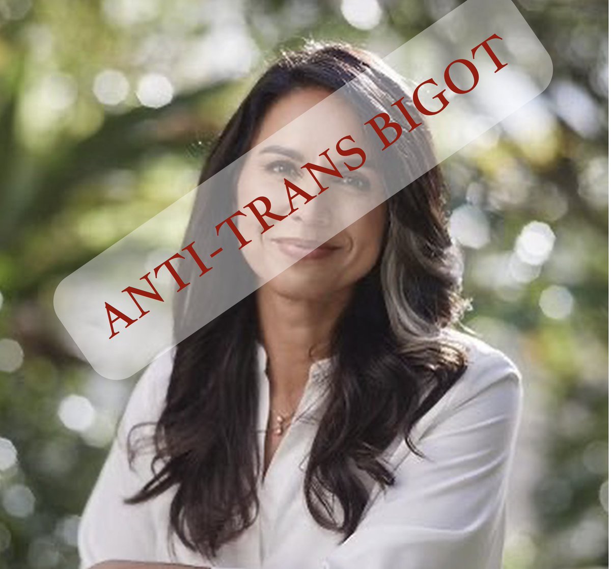 Josiah Walrus (@josiah_walrus) on Twitter photo 