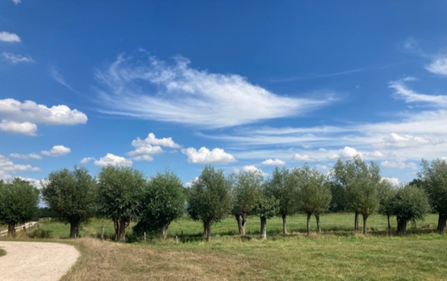 Heb je morgen zin om je handen uit te mouwen te steken? Komt dan helpen bij natuurplaats Binnenbos. Daar zijn we druk bezig met het #voedselbos uit te breiden. Gelieve wel even aanmelden, ook in verband met het weer.

omzeist.nl/samen+duurzaam…

#duurzaam #Zeist