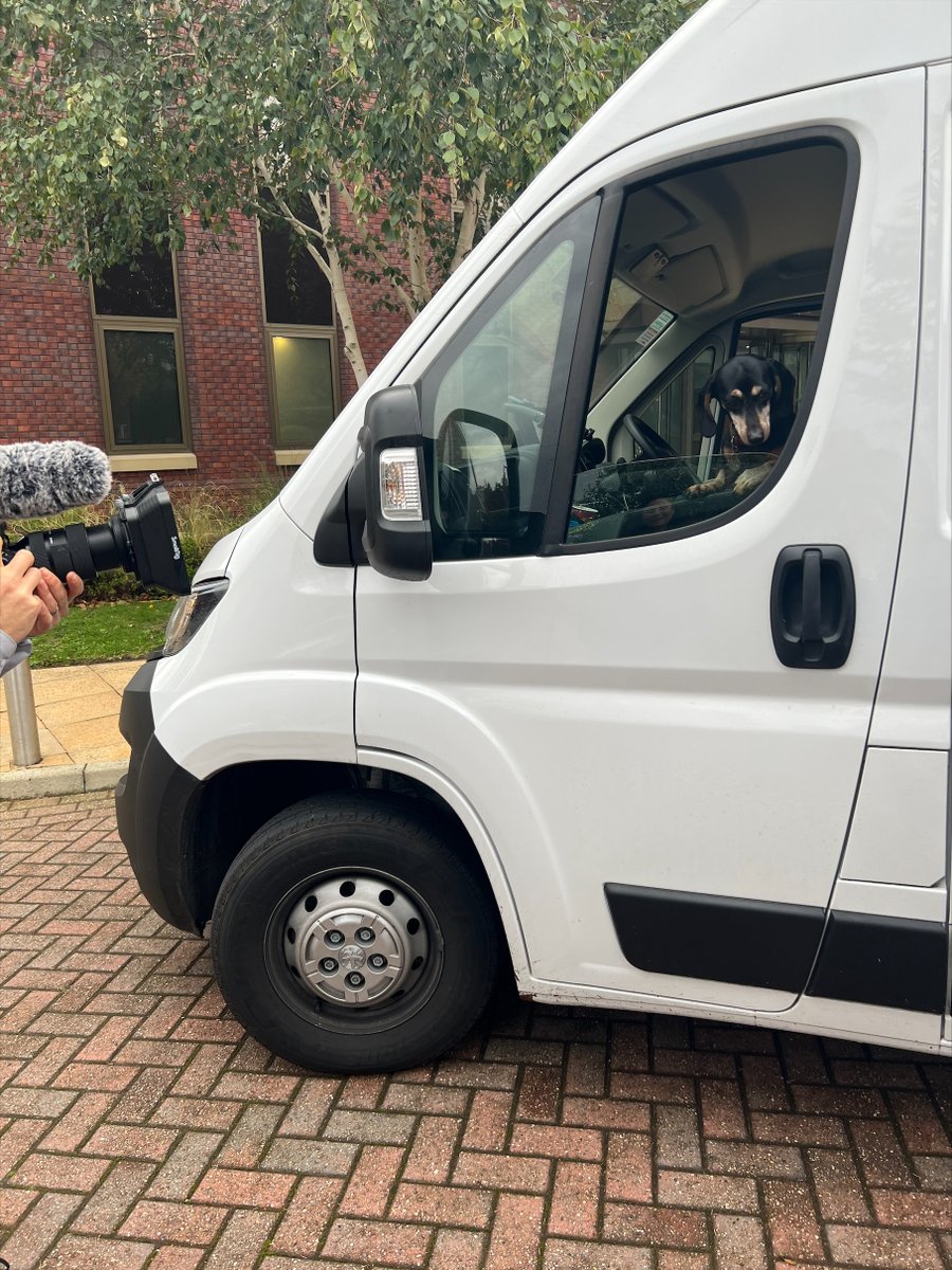 On this frosty Friday, we are really excited to share a new video starring our very own Resolve Solutions repairs team mascot, Dixie!🐶

Meet Dixie and some of our #GLH team members - bit.ly/3Ynfqkp

Read more about Dixie's visit - bit.ly/3V923Bf

#FridayFeeling