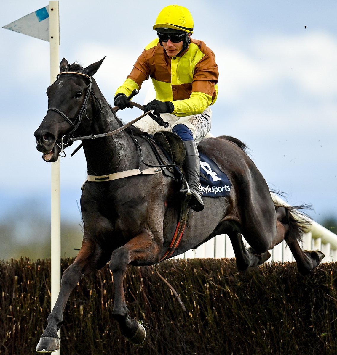 Watch Cheltenham Gold Cup fancy Galopin Des Champs in the John Durkan Chase this Monday at 2.10pm on <a href="/rtenews/">RTÉ News</a> Channel

The RTÉ News channel is available to stream on <a href="/RTEplayer/">RTÉ Player</a>
Or...
Saorview - Channel 21
Virgin Media - Channel 200
Sky - Channel 517
Eir - Channel 517 
#rteracing