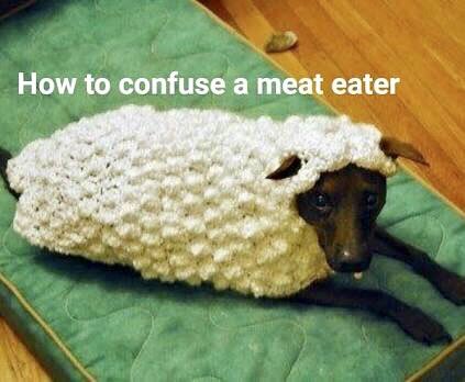 Adam Ⓥ🌱🌏🇦🇺✌️💙 tweet media