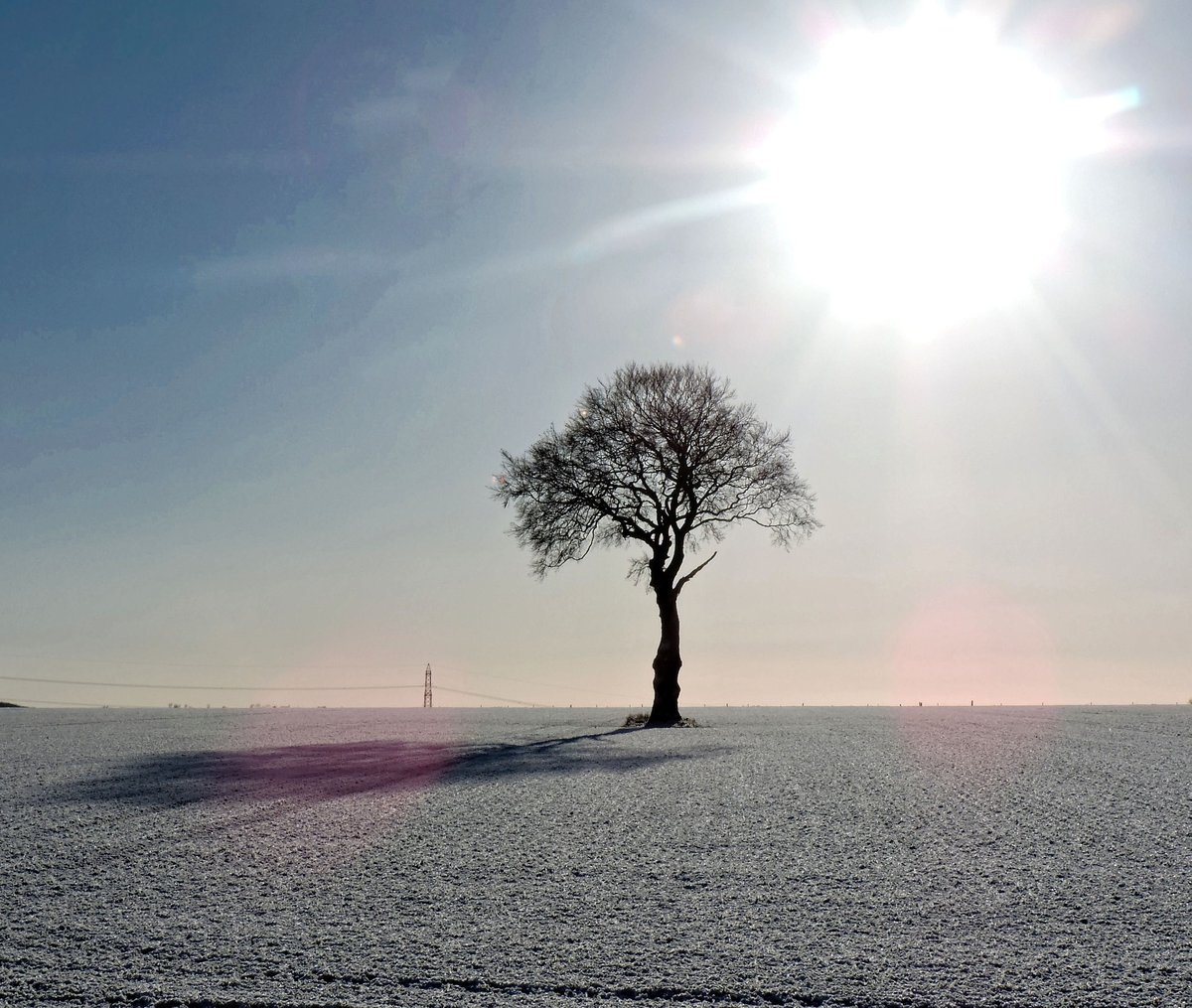 stevem6858's tweet photo. frosty morning 🥶🥶🥶 #nithered https://t.co/toRffyPM9s