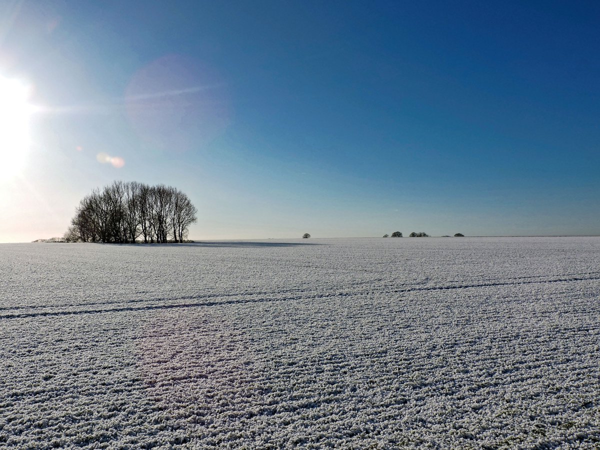 stevem6858's tweet photo. frosty morning 🥶🥶🥶 #nithered https://t.co/toRffyPM9s