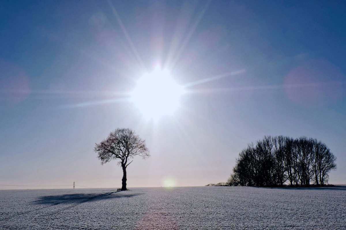 stevem6858's tweet photo. frosty morning 🥶🥶🥶 #nithered https://t.co/toRffyPM9s