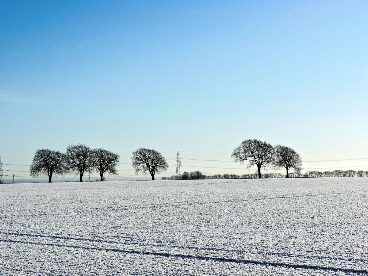 stevem6858's tweet photo. frosty morning 🥶🥶🥶 #nithered https://t.co/toRffyPM9s