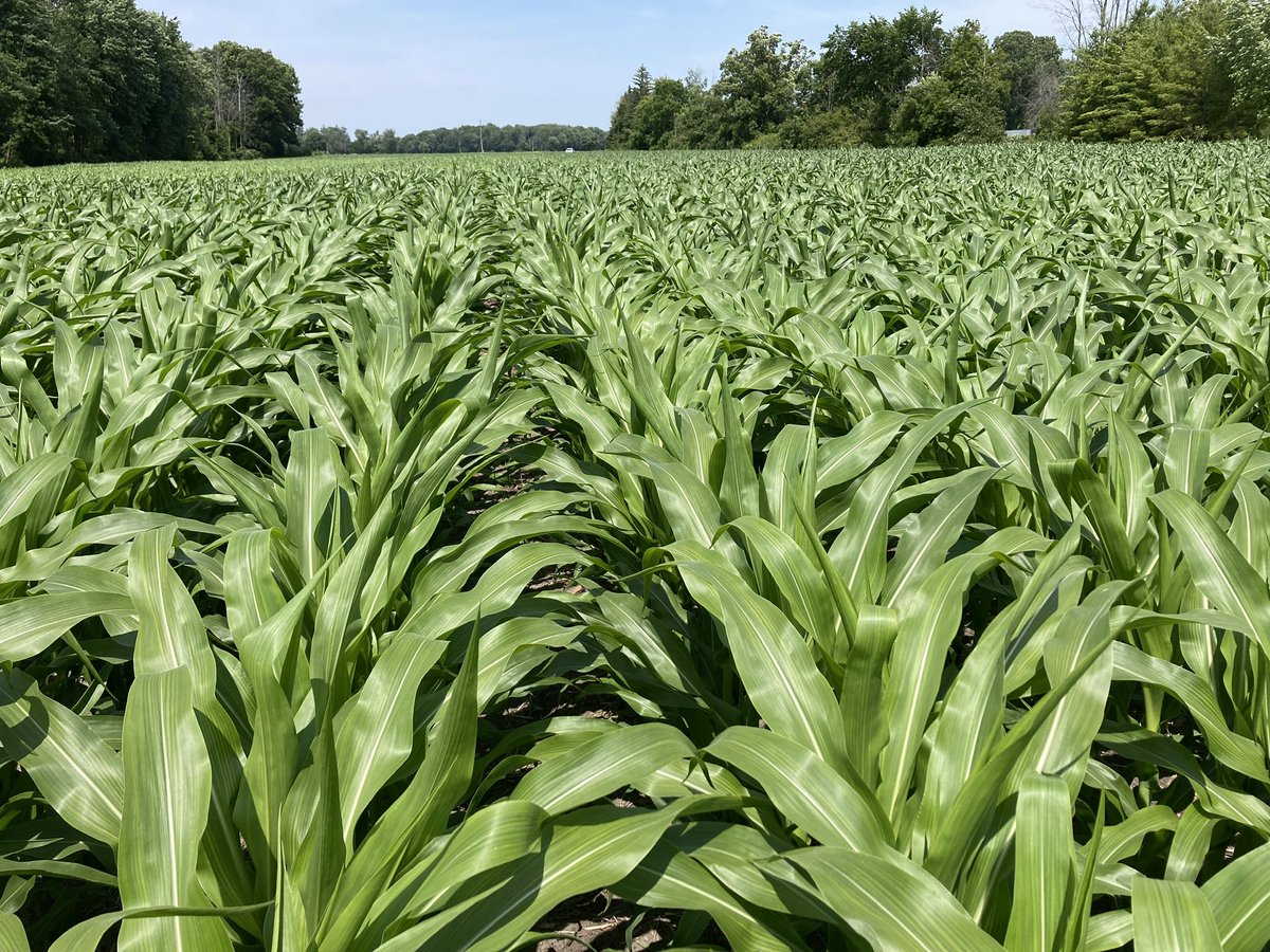 Clark Agri Service tweet media