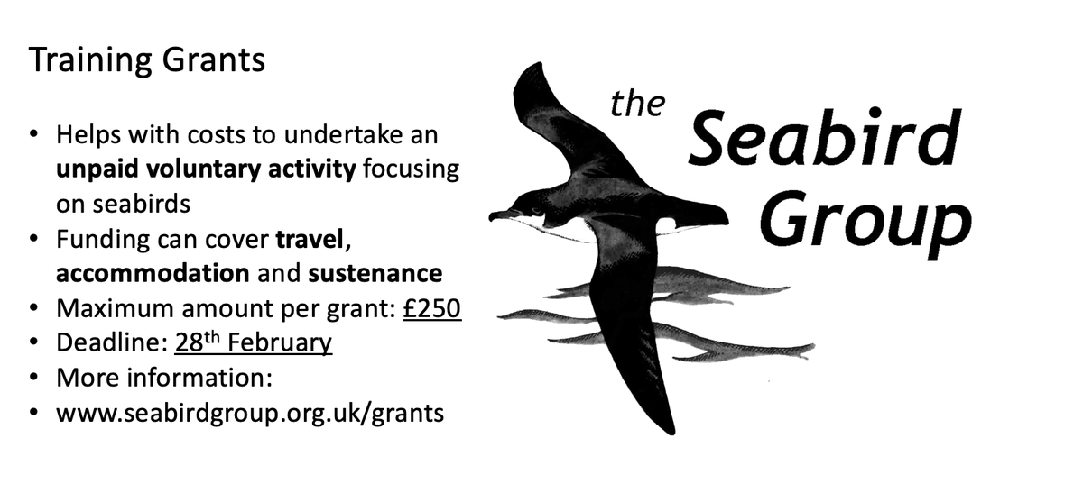 We have a training grant (up to £250 available, no previous experience required) for those wanting to take on a voluntary opportunity focussing on #seabirds who may not be able to afford it! 

Deadline: 28th February