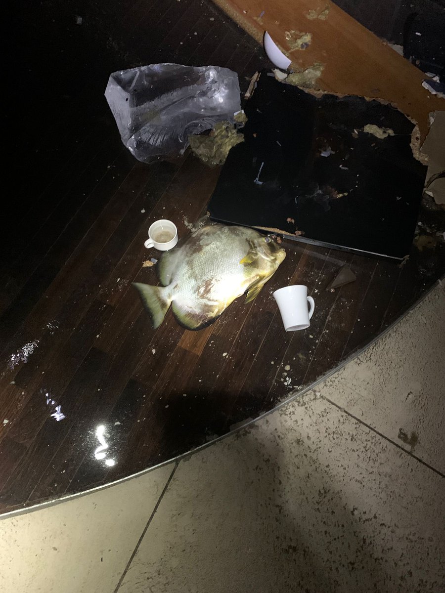 Radisson Blu Hotel Berlin: Der reservierte Tisch war dreckig und der rohe Fisch wurde uns ohne Teller serviert. Beim Essen wurden wir von einem Stück Holzfassade getroffen. Der Espresso war kalt und mit Bauschutt angereichert, überall riecht es nach Seetang. Keine Empfehlung! 👎🏼