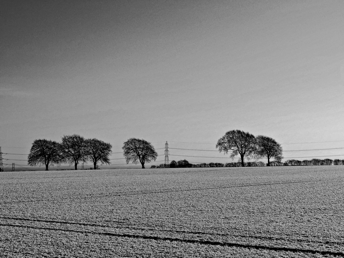 stevem6858's tweet photo. black and white version #bloodycold https://t.co/2wbGHoGOxv