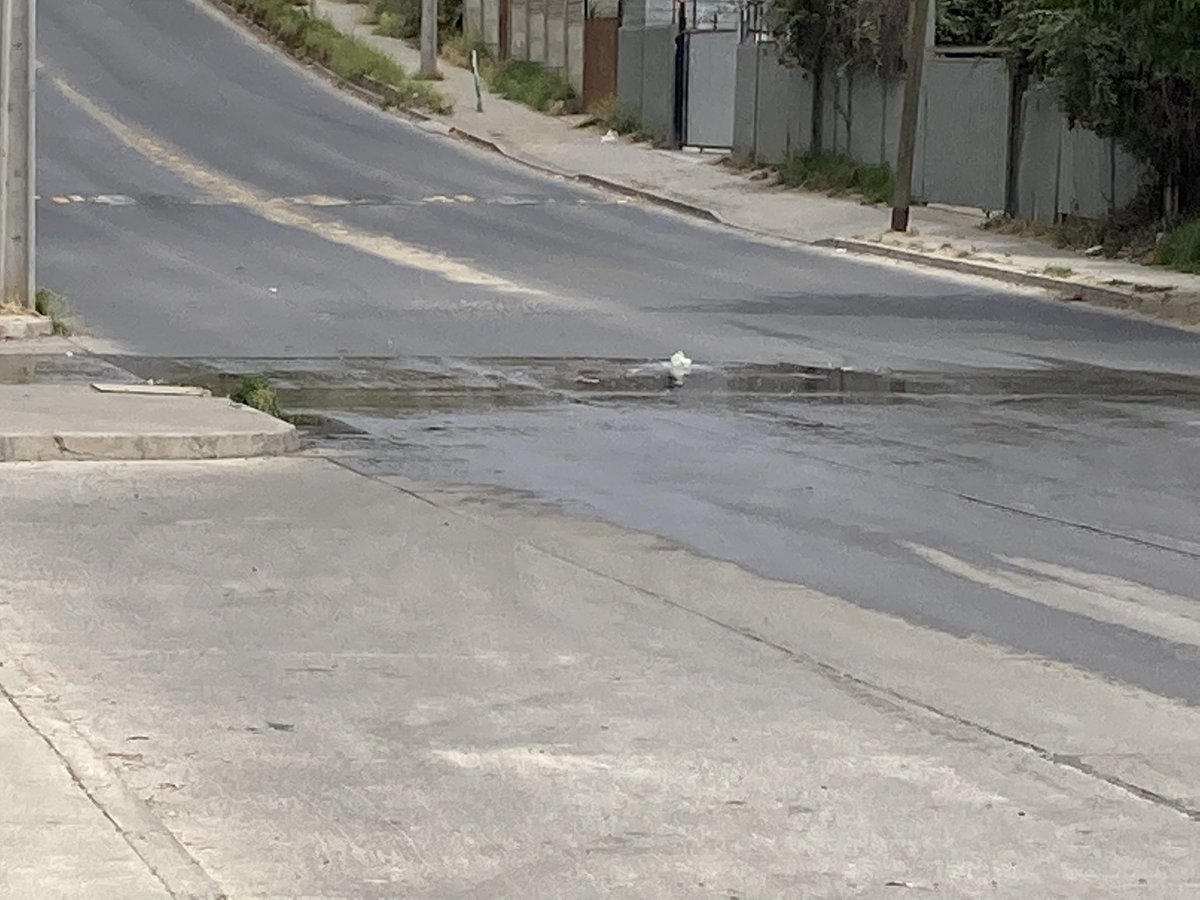 Denisselal's tweet photo. @esval_chile esto es fuera del estadio de villa olímpica quilpue!! Acompañado de un fuerte olor 🤢 https://t.co/HjgengWSQU