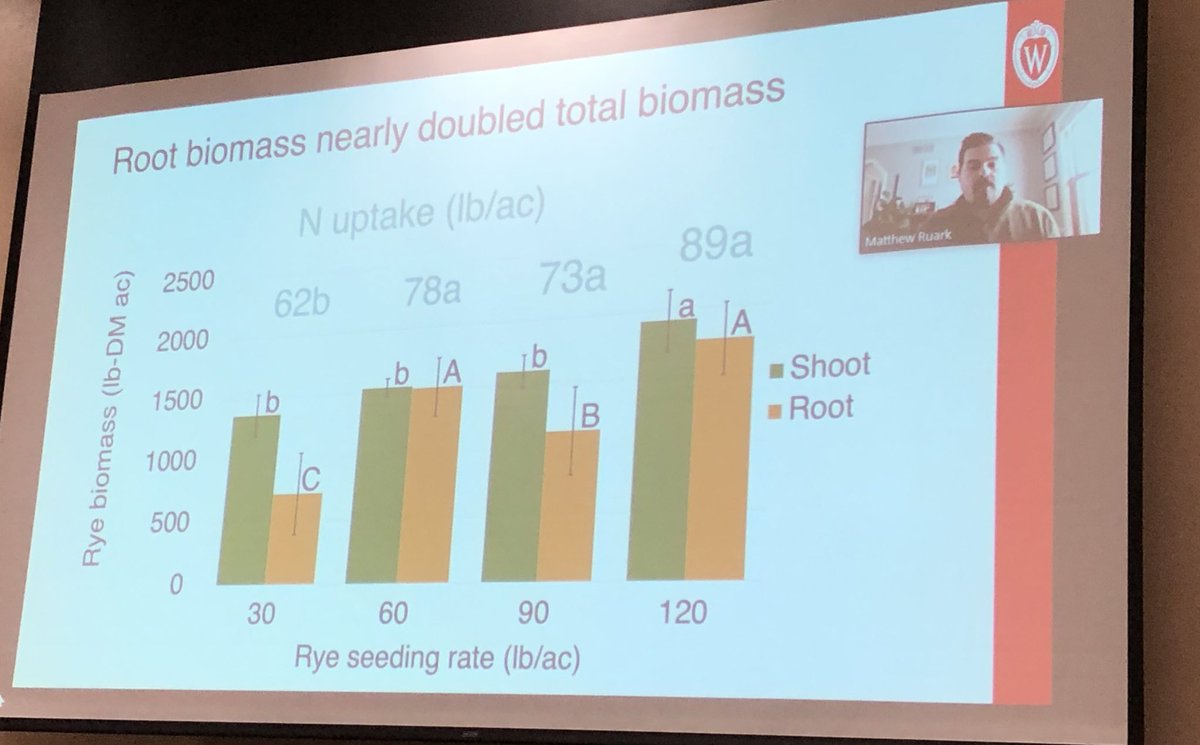 MnSoil's tweet image. Root biomass was almost half of cereal rye biomass in southern WI! @RuarkLab #SMS2022