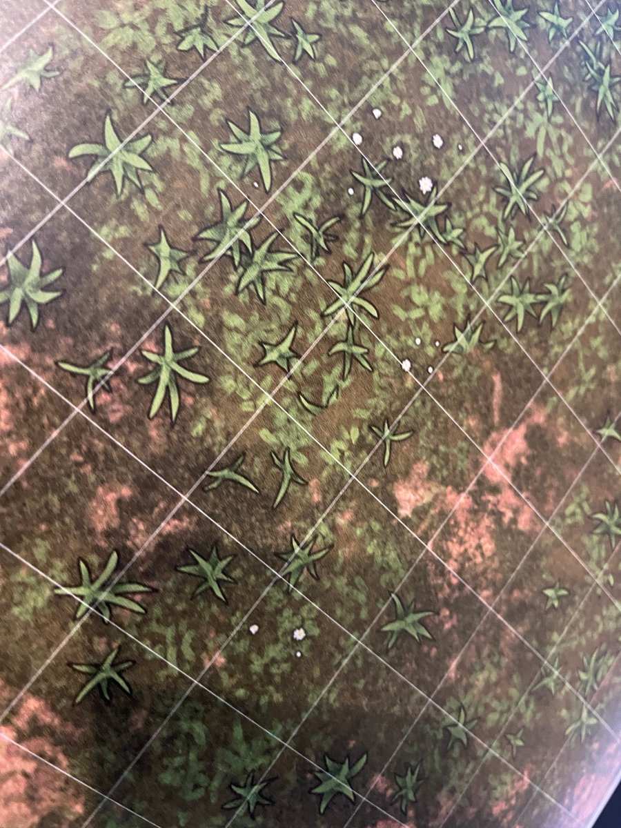 coderarj's tweet photo. 4 for 40 fantasy wargame mats for dungeons and dragons rpg
 #DragonsRpg #FantasyWargameMats #gift #TinywargamesUK #EtsyEmail

👉https://t.co/eg5CgTTYr9 https://t.co/rQYgWonZ8P