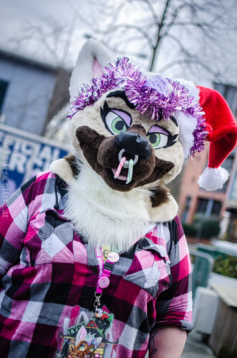 cozwoz2010's tweet photo. Happy fursuit Friday. Pics by @KafesCoffeeCat #FursuitFriday #troubledpaws @ThatsFurredUp #nottinghamfurs https://t.co/pNkpiD2Gie