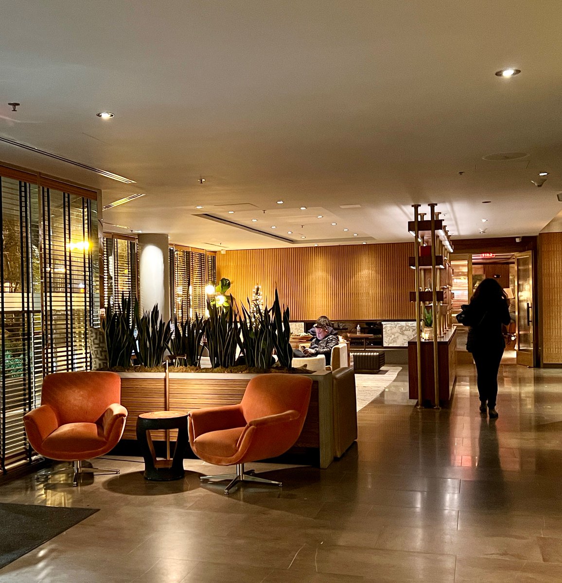 @poloconghaile tweet media