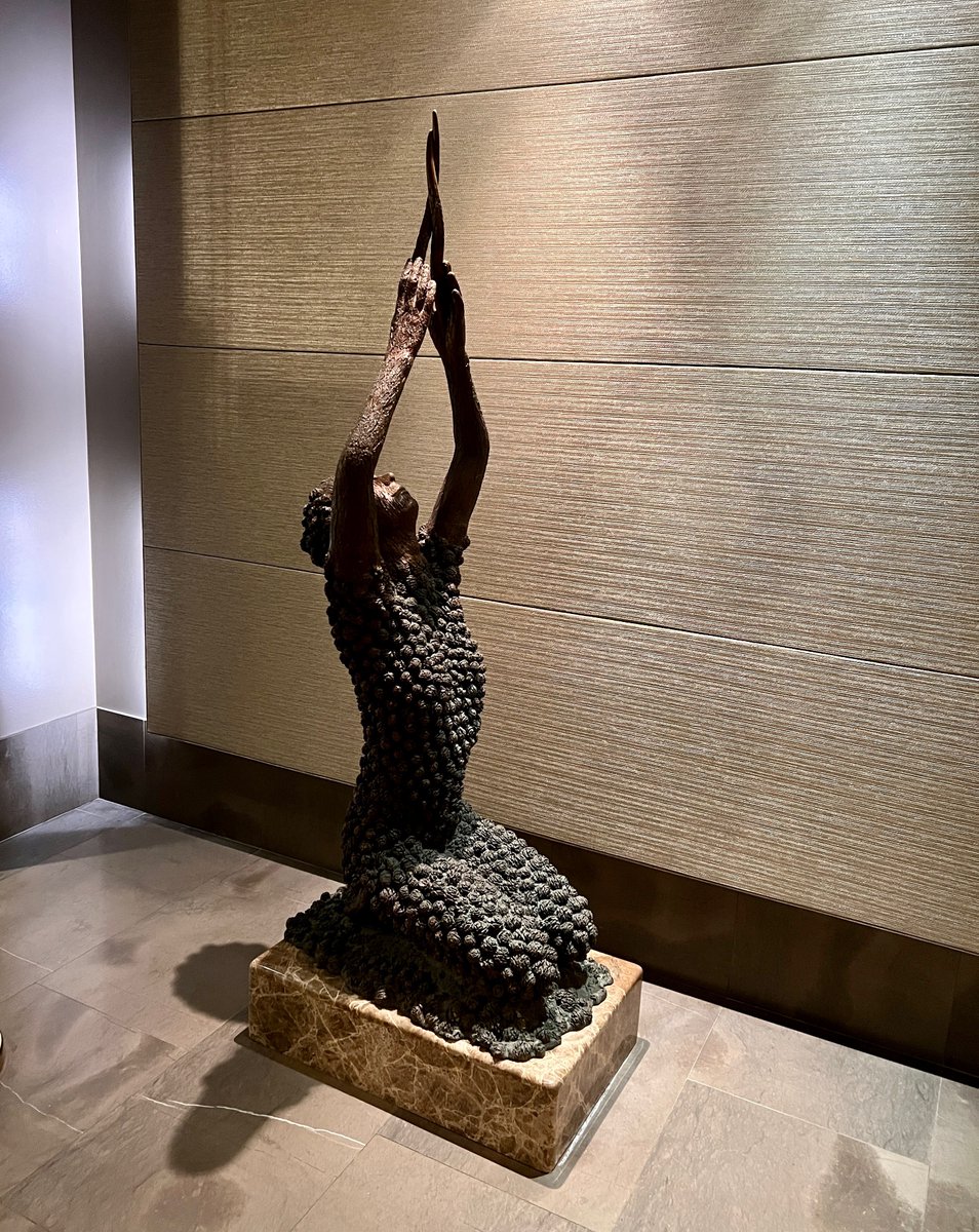 @poloconghaile tweet media