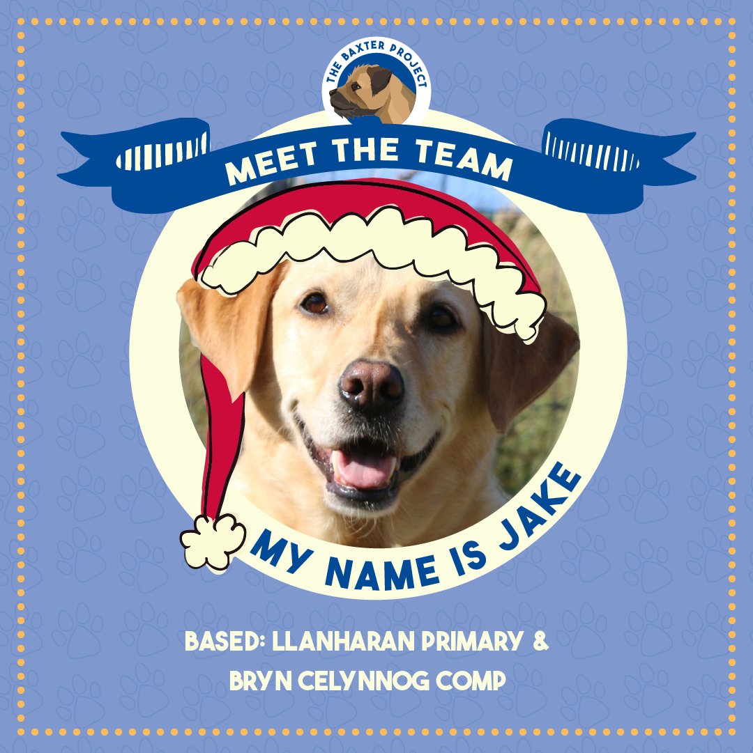 Baxter_Project's tweet photo. Jake is a seven year old Labrador. Working at Bryn Celynnog and Llanharan primary and his favourite thing is looking for, playing with and destroying tennis balls.🎾 🎾 🎾
Meet the whole team 👉 https://t.co/r2EediyHJE
#schoolmentalhealth #schoolprogramme #schoolwellbeing https://t.co/oDjrCoW1EB