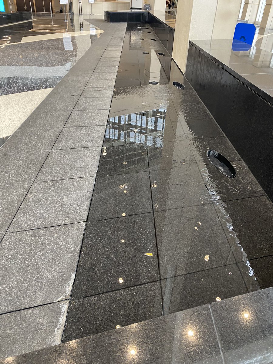 Dr Dani Jones (danijones.bsky.social) tweet media