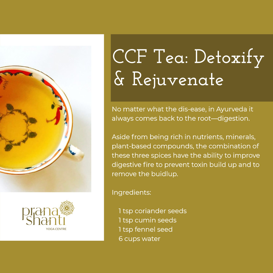 pranashanti's tweet photo. Fill the pot with water. Add the spices. Bring the water to a boil and then simmer on medium to medium-high heat until the tea reduces to half. Strain and serve warm or store when cooled in a glass jar.
Happy digesting. Happy tummy!
#happytummy #CCFTea #ayurveda #guthealth https://t.co/R8fVTXUf7z