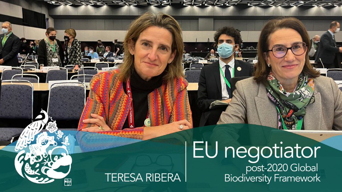 mitecogob's tweet photo. 🇺🇳 La VP @TeresaRibera ha sido designada 'Negociadora de la Unión Europea para el Marco global de biodiversidad' en la #COP15 en Canadá
Tiene el encargo de defender la postura europea 🇪🇺 del nuevo Marco Global, uno de los principales resultados que se esperan de la cumbre https://t.co/zkJWRvmKDy