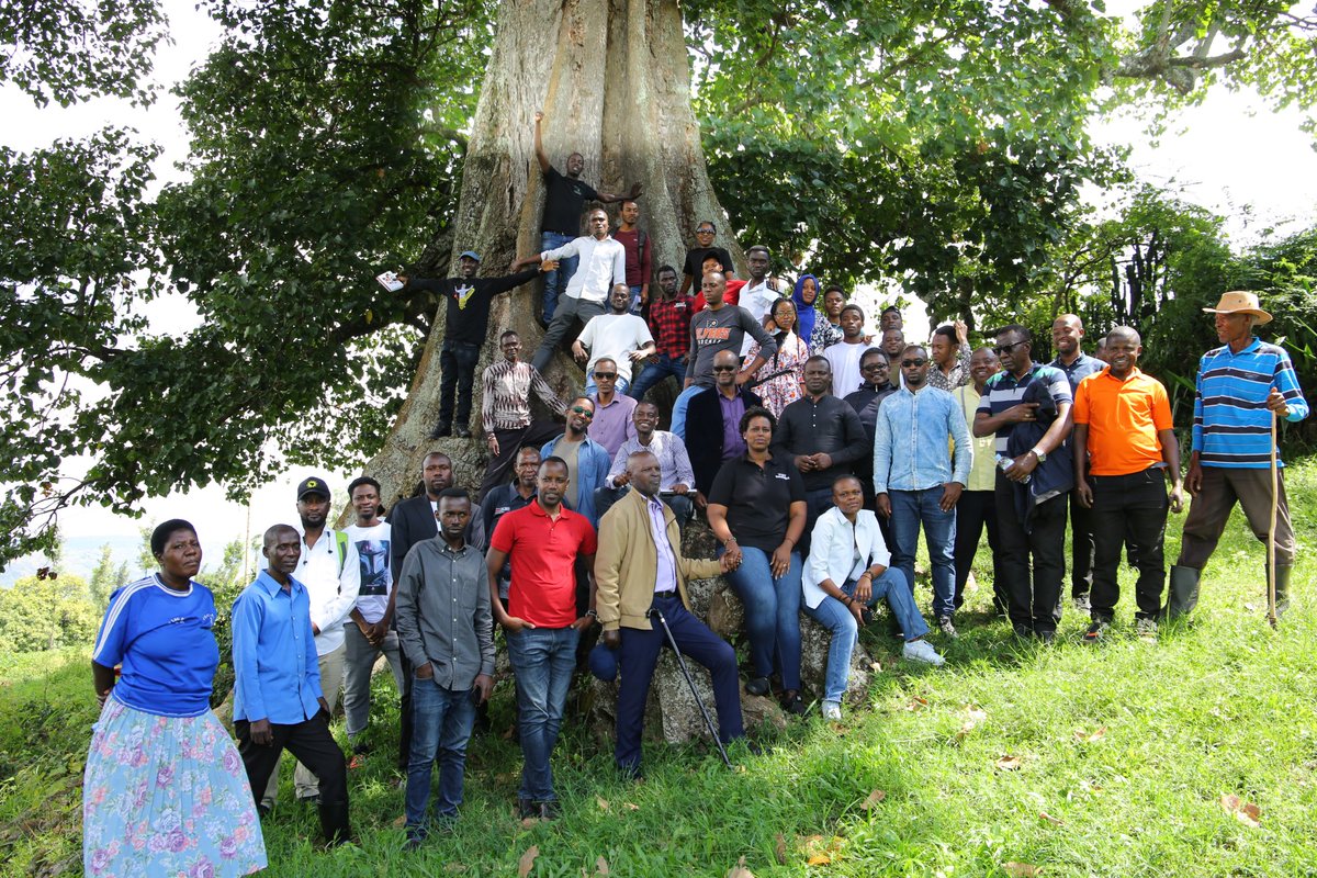 RwandaMuseums's tweet photo. Today, @IntekoyUmuco (#RCHA) in partnership with stakeholders in heritage preservation and promotion conducted visits to three (3) heritage sites located in @RutungaS @Gasabo_District in @CityofKigali. #Rwanda https://t.co/Izaq7iOo8J