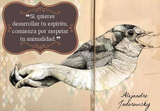 artistany's tweet photo. Buen dia https://t.co/AGJ9hhHmHA