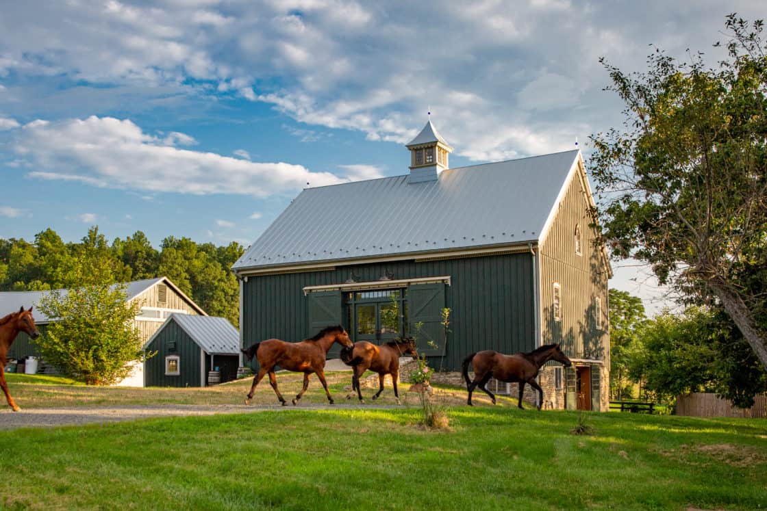 landreport's tweet photo. B&D Builders is the expert on fine craftsmanship for #residential, #commercial, and #equestrian construction projects.
https://t.co/KJSJNI1dp4
#indoor #outdoor #arena #equestrian #banddbuilders #banddcommercial #adventure #timberframe #timberframing #barn #landreport https://t.co/6zb2EO3saj