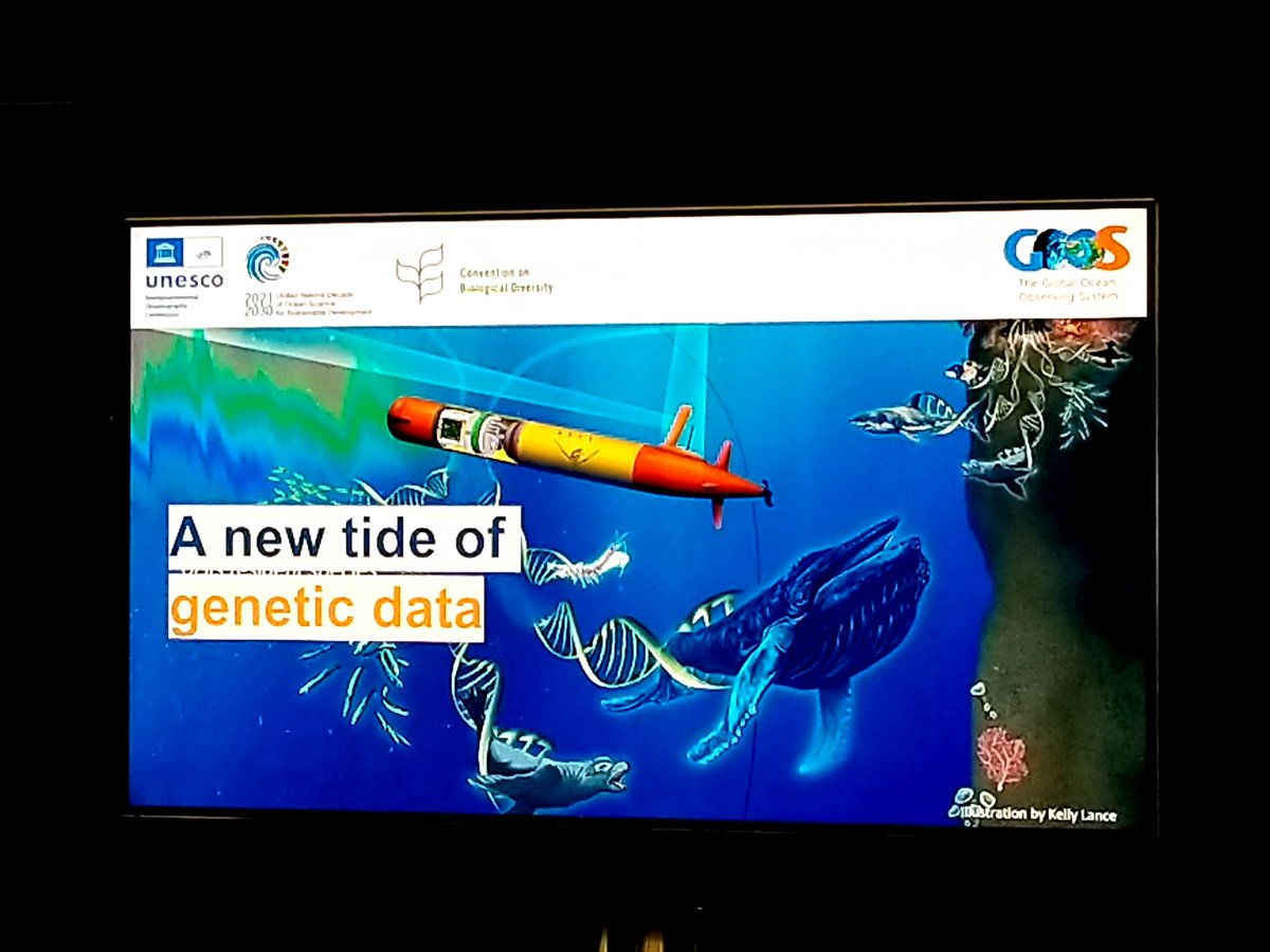 GEOBON_org's tweet photo. Great talk from @AnyaWaite @GOOSocean co-chair, on the importance of standardized #ocean observations, new technologies, EOVs, and partnerships to advance GOOS throughout and beyond @UNOceanDecade. Through @MarineBON1 we are joining forces towards #GBiOS https://t.co/qJDmne8q1K
