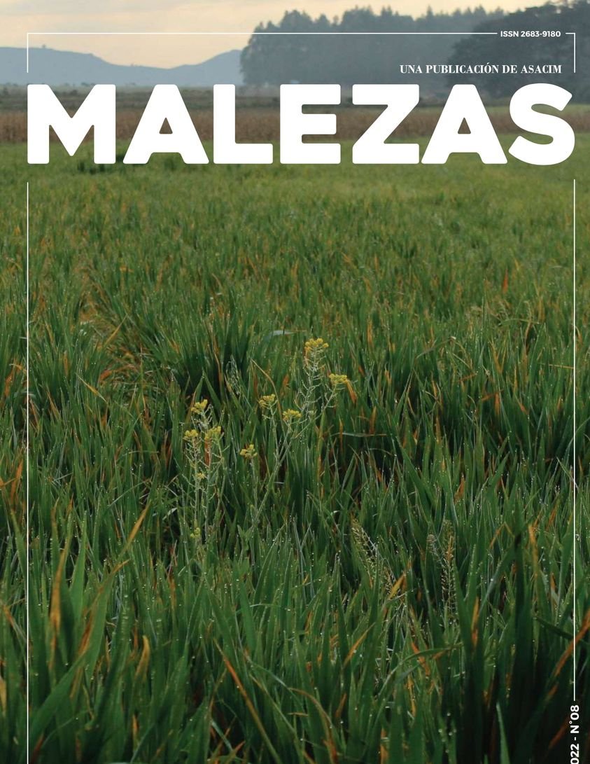 Nos complace anunciar que salió el 8vo número de la Revista Malezas. Para ver este número y los anteriores pueden ir a issuu.com/asacim/docs o en nuestra página asacim.org.ar