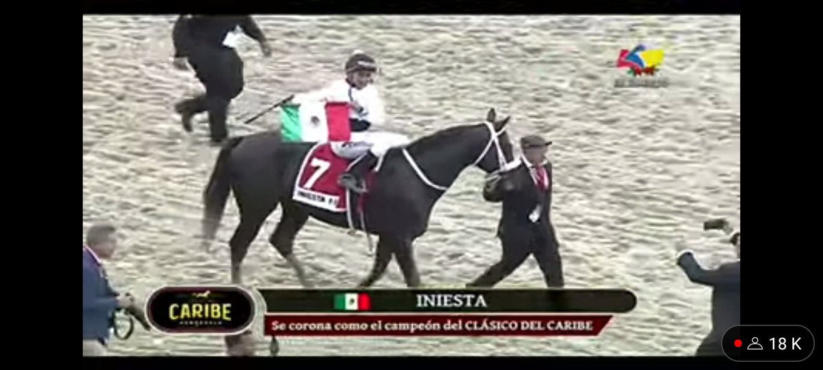 Pacolopez1018's tweet photo. Le doy gracias al público Venezolano por recibirme con mucho cariño, gracias a Claudio González por siempre tenerme en mente para montar su mejor caballo Iniesta 🇲🇽🏆y a su padre Claudio, me siento muy feliz de darle esa victoria a ustedes y a mi Mexico querido. Gracias 🙏🏼🏇🏆🇲🇽 https://t.co/m4jLokGeXD