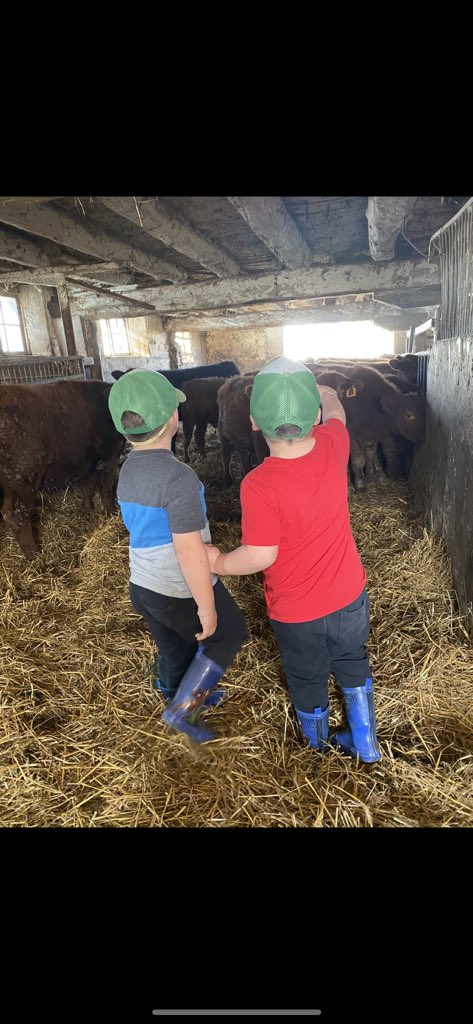 Ashley Dyce tweet media