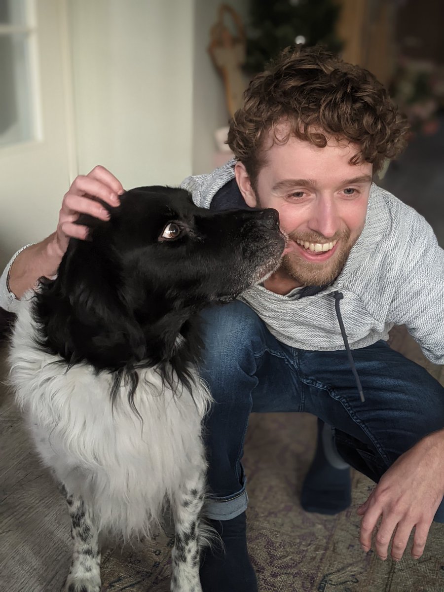 Boyd // JustDrawCats tweet media