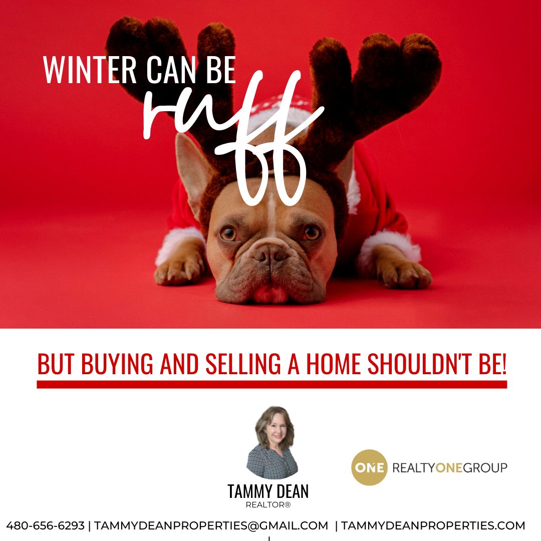 Are you thinking about making a move this winter?

Whether buying or selling, I'm here to help. Let's connect and discuss your real estate goals.
#azrealestate #arizonarealestate #arizonarealtor #yourrealtor #homeownership #azhomesforsale #makeamove #movingtoaz #ruff