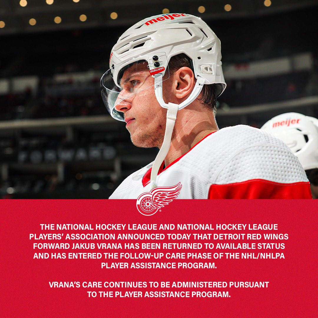 Detroit Red Wings on X: Cat's out of the bag. 🐱   / X