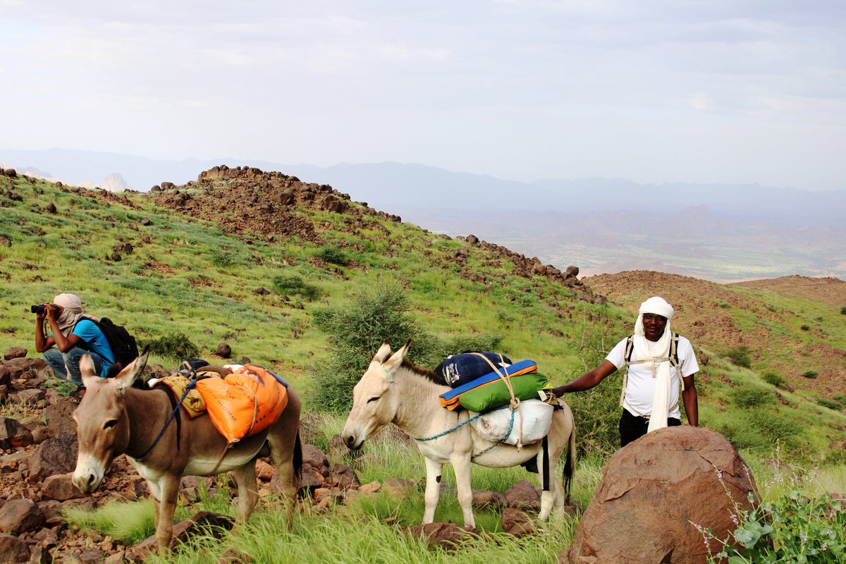 #randonnees #trekking #Aïr <a href="/egalaghrando/">Egalagh RANDO</a>