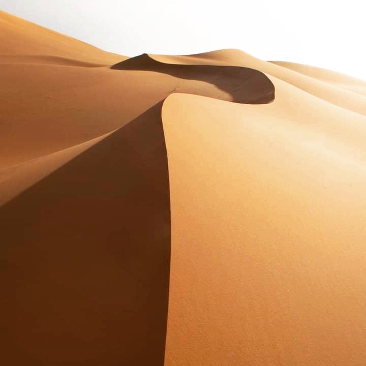 Desert avec <a href="/egalaghrando/">Egalagh RANDO</a>  voyager heureux dans la nature #desert #tenere #Aïr #visitniger
