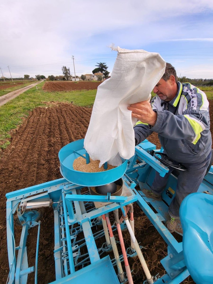 Medwhealth Prima Project tweet media