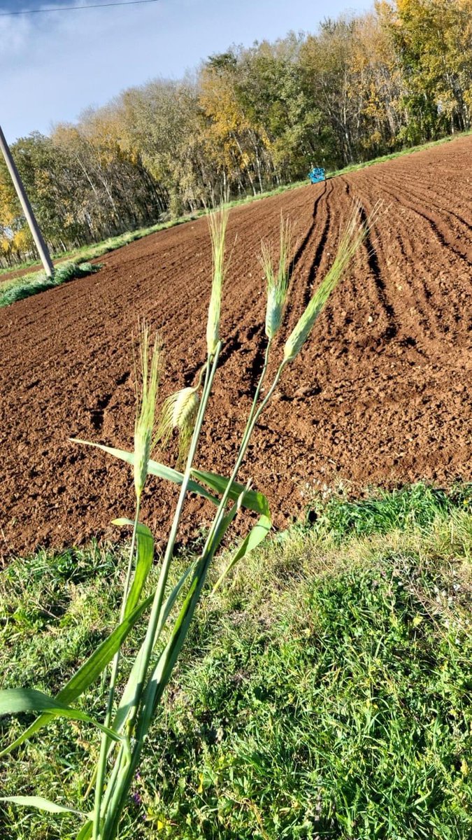 Medwhealth Prima Project tweet media